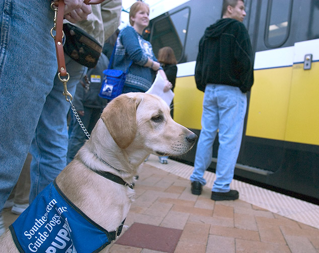 Service Animals